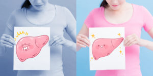 liver and menopause